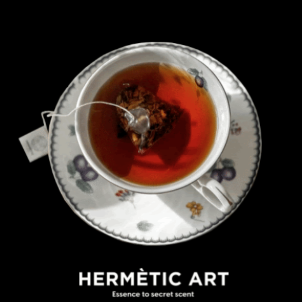 Hermètic Art Orange party TEA BAGS