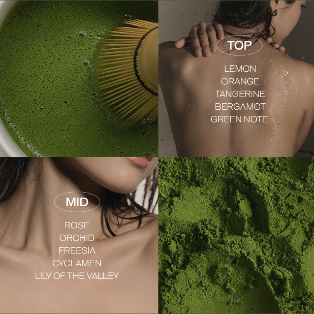 Tiela Perfume Nourishing Body Cream 200ml Matcha